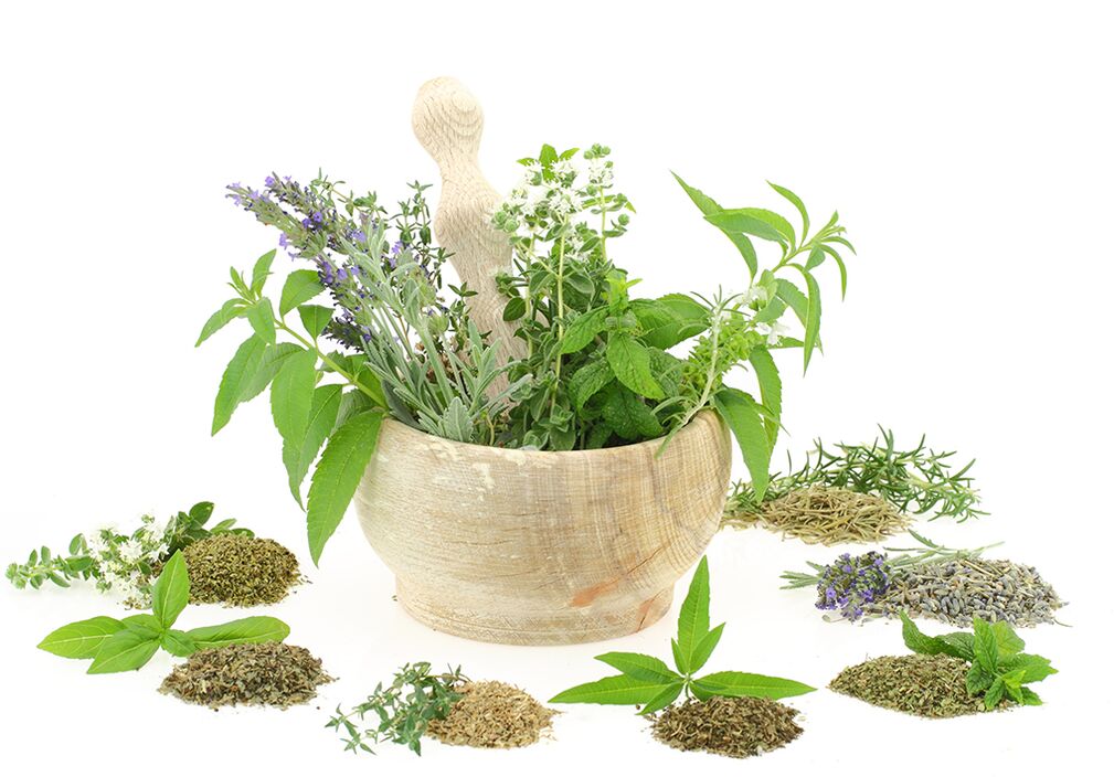 Extractele de plante din compoziția produsului